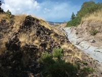 rrente Quarantore-20110911 116